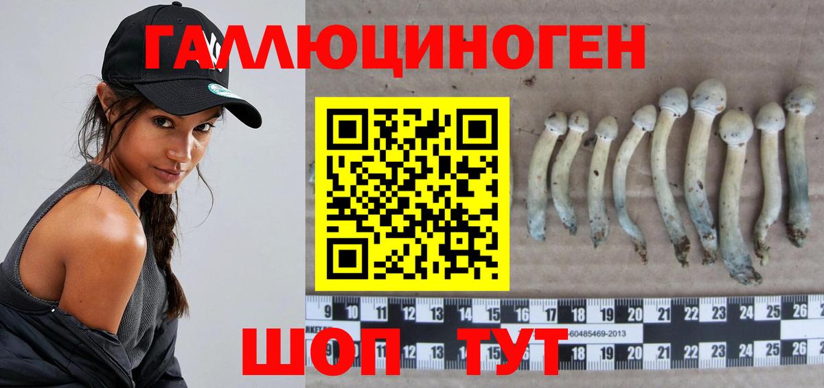 Галлюциногенные грибы прущие грибы Вязьма