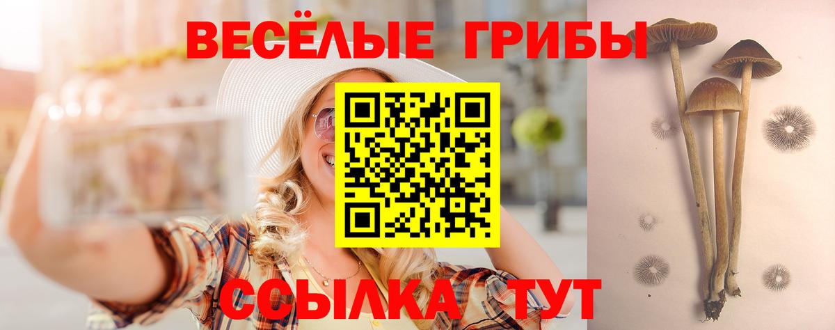 Галлюциногенные грибы Magic Shrooms  Вход с VPN  Вязьма  Галлюциногенные грибы мицелий 